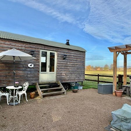 Bron Hafren Bed and Breakfast Montgomery Buitenkant foto