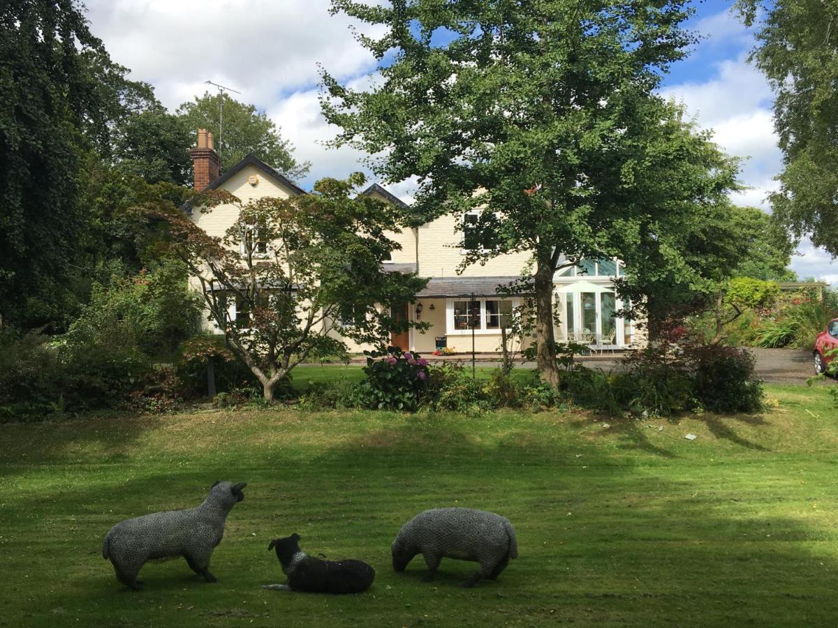 Bron Hafren Bed and Breakfast Montgomery Buitenkant foto